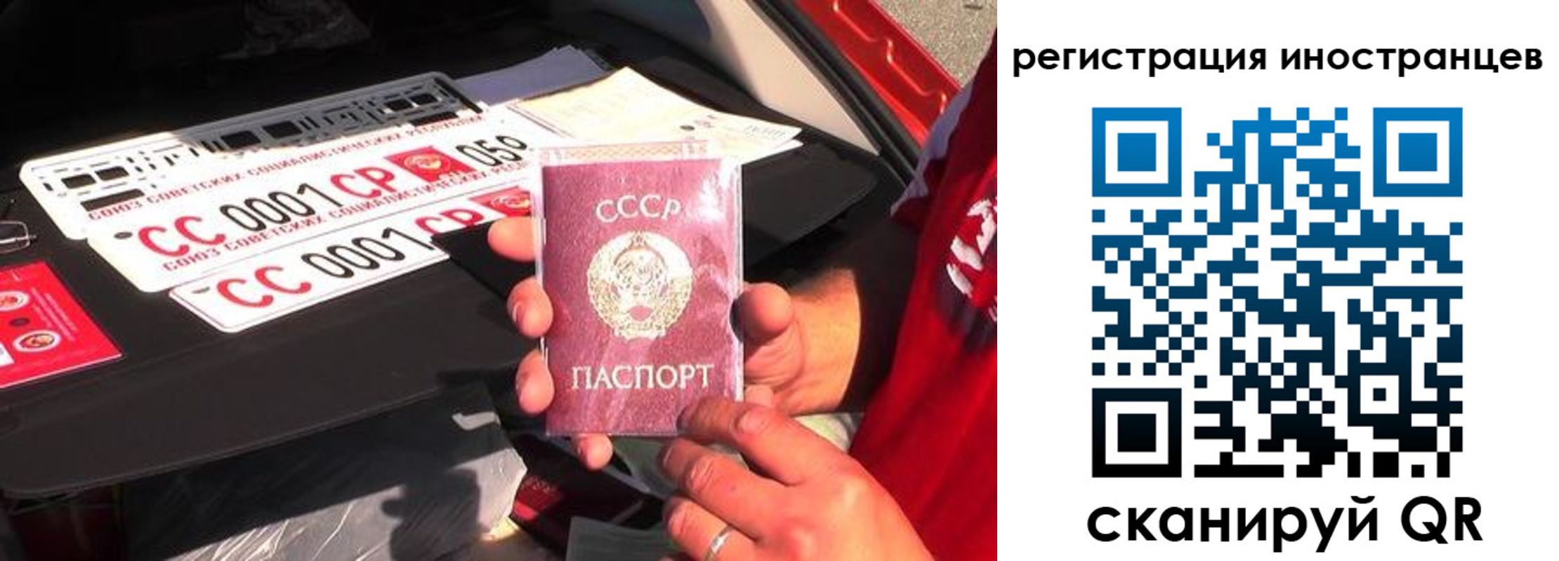 прописка гарантия в Гусеве